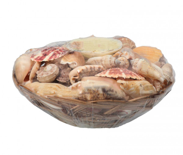 Muschelkorb