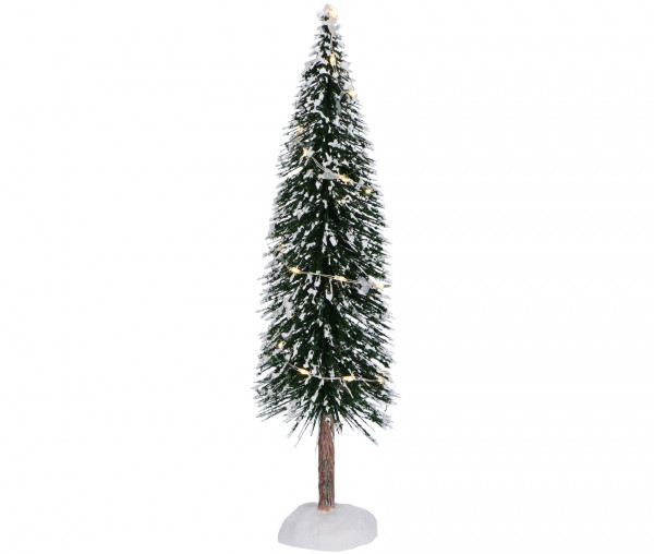 Tannenbaum mit Licht