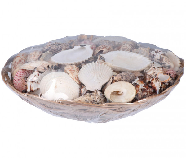 Muschelkorb Ø 30 cm