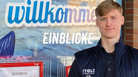 Einblicke